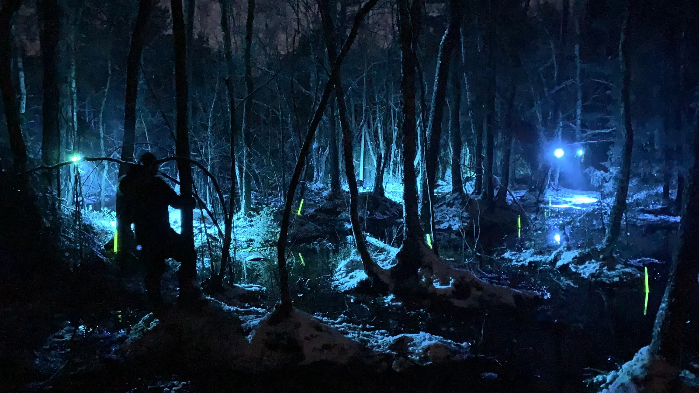 Frontpage carousel — Input Output