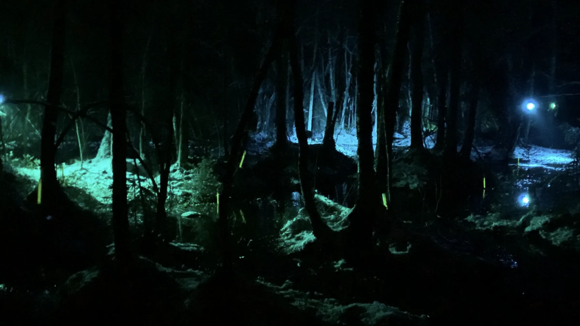 Art header image — Input Output