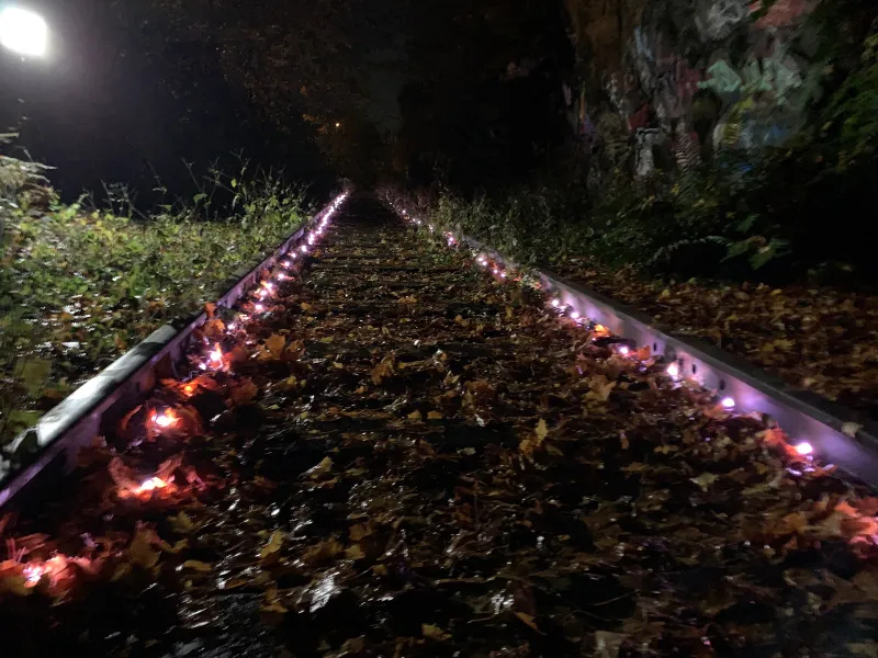 pace Flamenco music video by Ro-E 2019