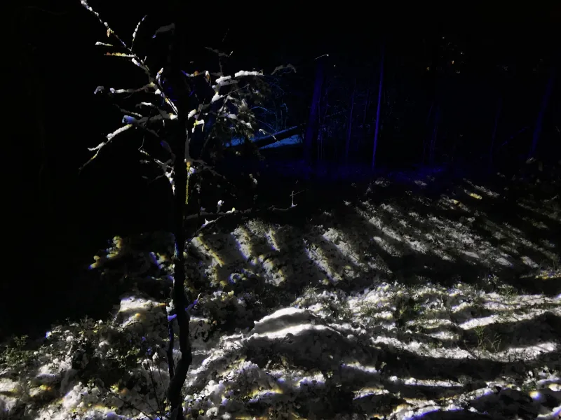 Månstrålar — Input Output