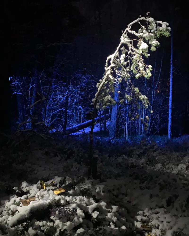 Månstrålar — Input Output